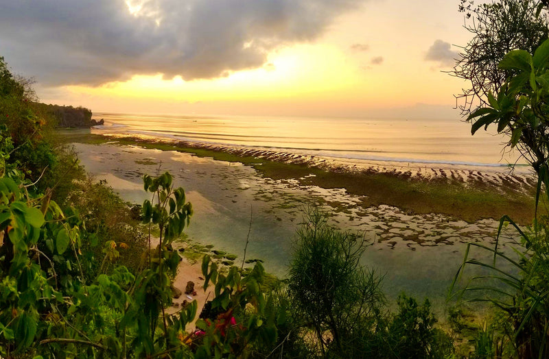Bali on a Budget