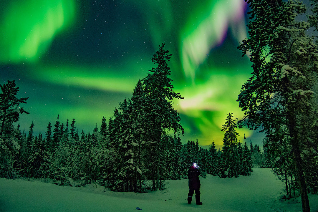 7 Wonders of The Natural World
